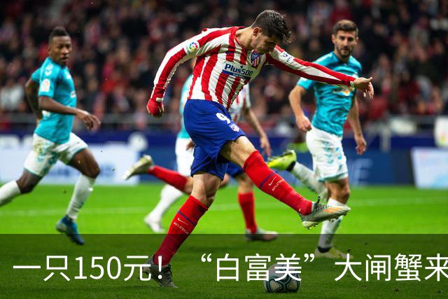 一只150元！“白富美”大闸蟹来了