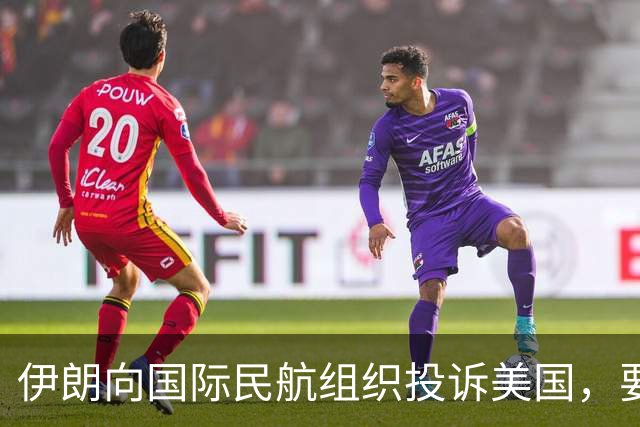 伊朗向国际民航组织投诉美国，要求恢复停飞航线