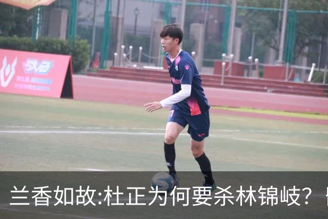 兰香如故:杜正为何要杀林锦岐？昏迷中的那句“翠雀林家死了吗”什么意思