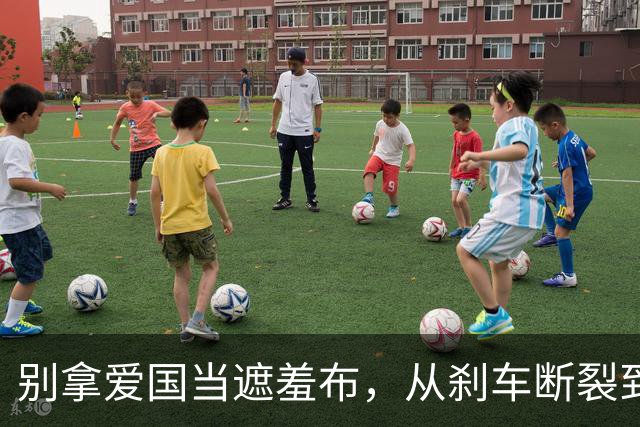 别拿爱国当遮羞布，从刹车断裂到海外断轴，速成车还有多少问题？