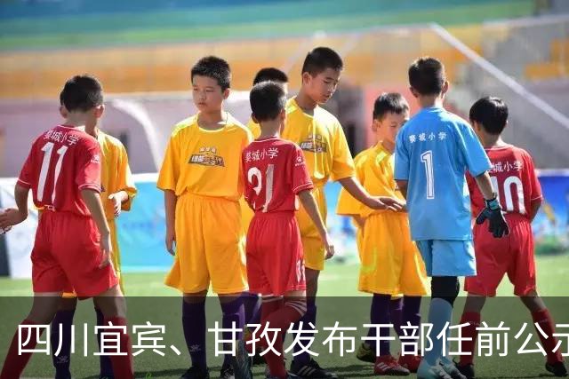 四川宜宾、甘孜发布干部任前公示