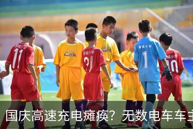 国庆高速充电瘫痪？无数电车车主叫苦，这辈子不用电车跑远途了