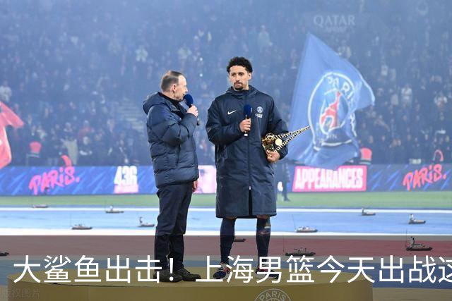 大鲨鱼出击！上海男篮今天出战这项洲际大赛