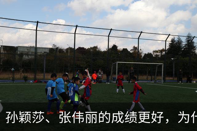 孙颖莎、张伟丽的成绩更好，为什么“赚不过”郑钦文