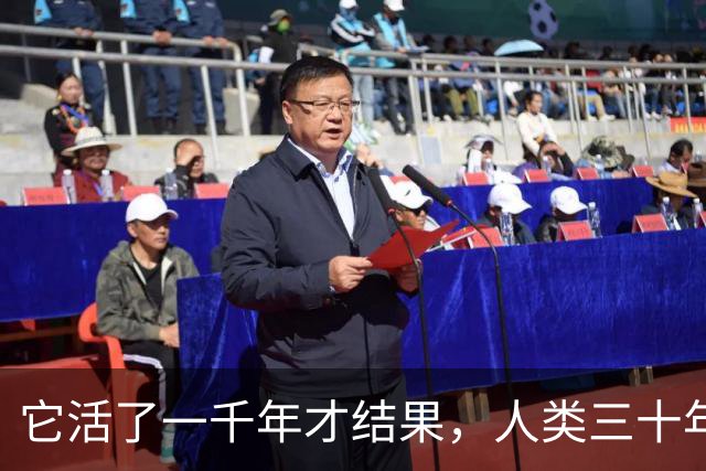 它活了一千年才结果，人类三十年砍光，消失的秘密至今无人能解