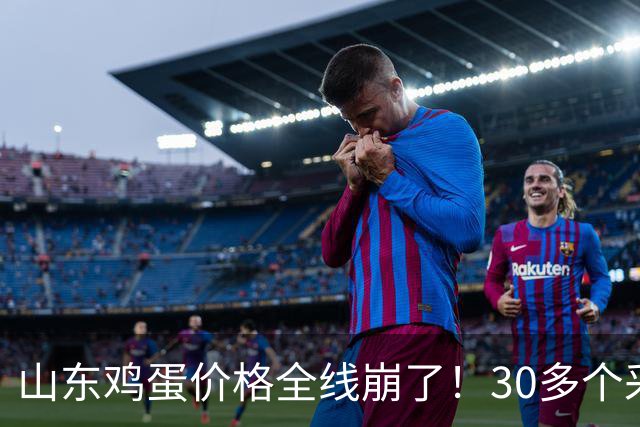 山东鸡蛋价格"全线崩了"！30多个采集点无一幸免