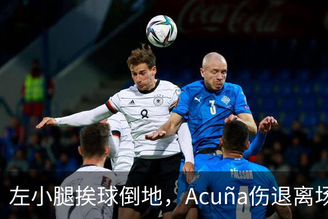 左小腿挨球倒地，Acuña伤退离场，勇士季后赛悬了