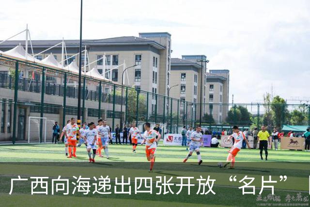 广西向海递出四张开放“名片”丨活力中国调研行