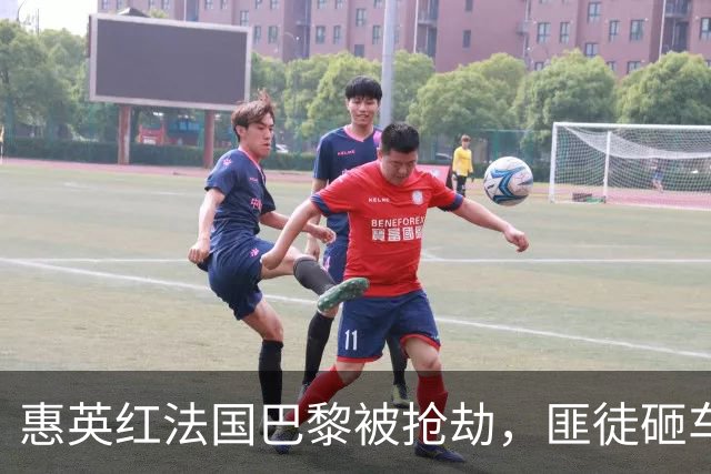 惠英红法国巴黎被抢劫，匪徒砸车玻璃抢包，本人求助大使馆