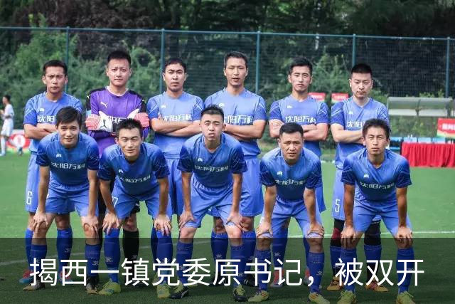 揭西一镇党委原书记，被双开