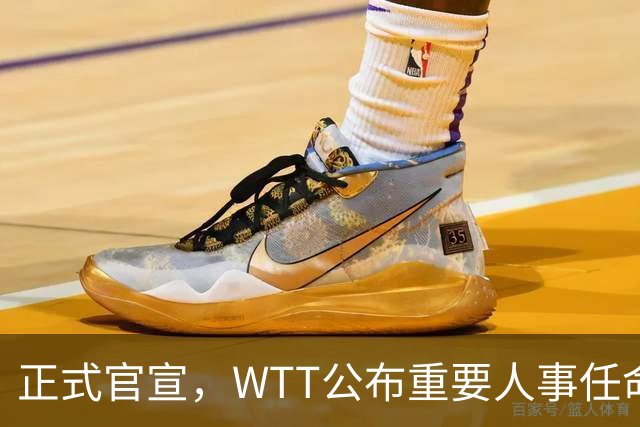 正式官宣，WTT公布重要人事任命，中国乒乓美女被提拔，正式上岗担任总监职务