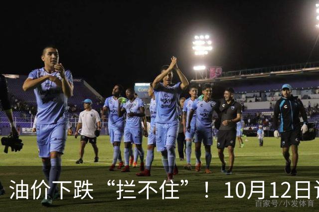 油价下跌“拦不住”！10月12日调价后92,95号汽油价格，麦价“升温”，易涨难跌？