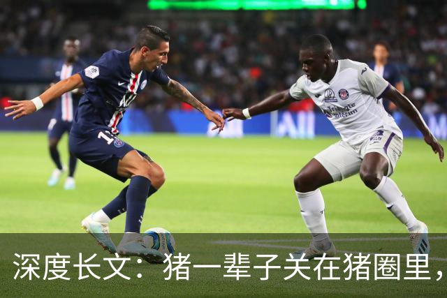 深度长文：猪一辈子关在猪圈里，为什么不会"憋疯"抑郁？其实它会