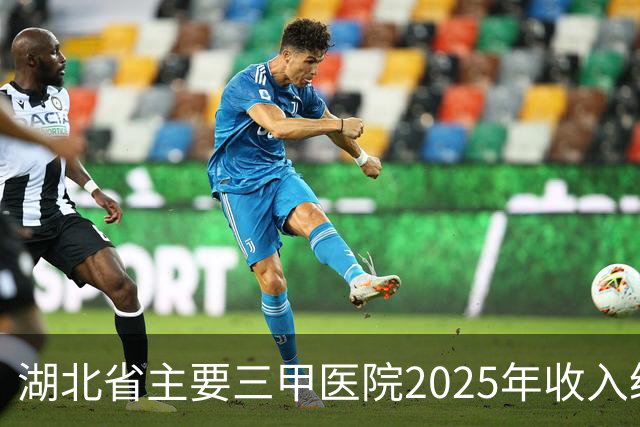 湖北省主要三甲医院2025年收入统计｜同济协和双子星稳坐一二！