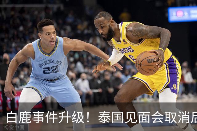 白鹿事件升级！泰国见面会取消后，缅北视频又被扒，黑历史曝光