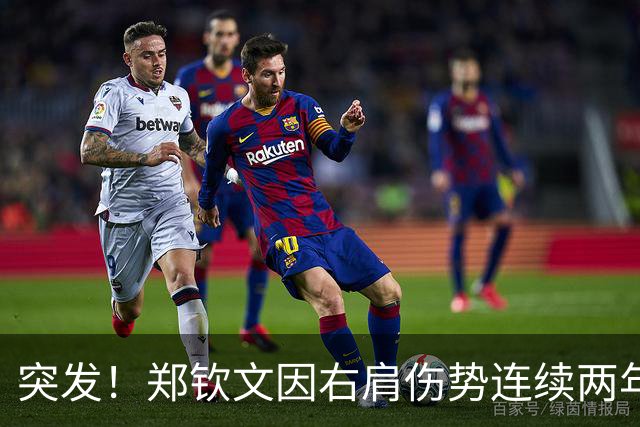 突发！郑钦文因右肩伤势连续两年退出武网 24年曾获武网亚军