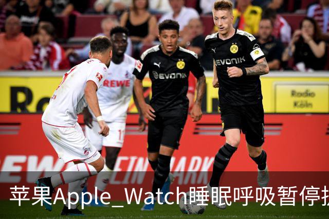 苹果Apple Watch睡眠呼吸暂停提示软件获国家药监局批准