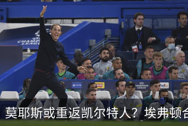 莫耶斯或重返凯尔特人？埃弗顿合同将到期，老东家正盯着