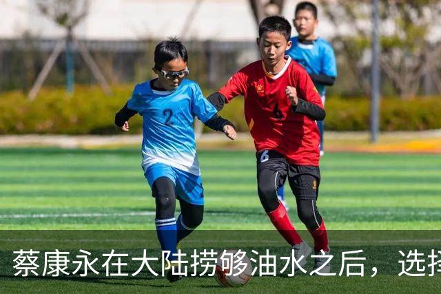 蔡康永在大陆捞够油水之后，选择拥抱“台独”站台养老