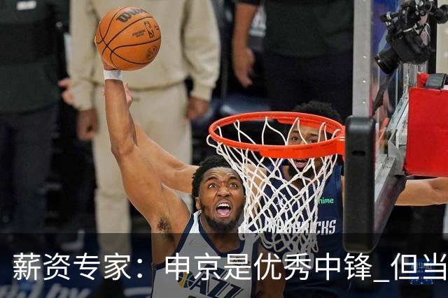 薪资专家：申京是优秀中锋 但当建队核心我对他季后赛上限有顾虑