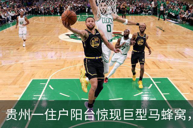 贵州一住户阳台惊现巨型马蜂窝，长超一米、形似巨型陀螺
