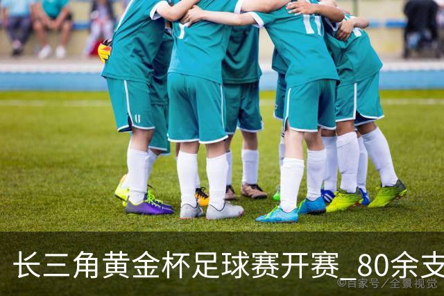 长三角黄金杯足球赛开赛 80余支队伍浙江海盐以球会友