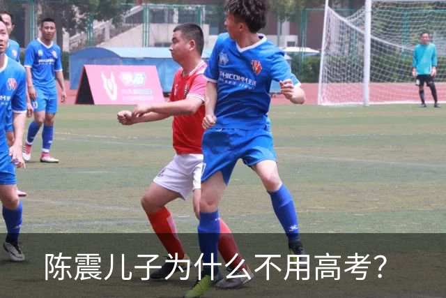 陈震儿子为什么不用高考？