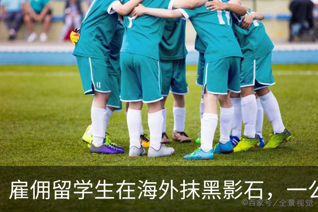 雇佣留学生在海外抹黑影石，一公司高管被行拘