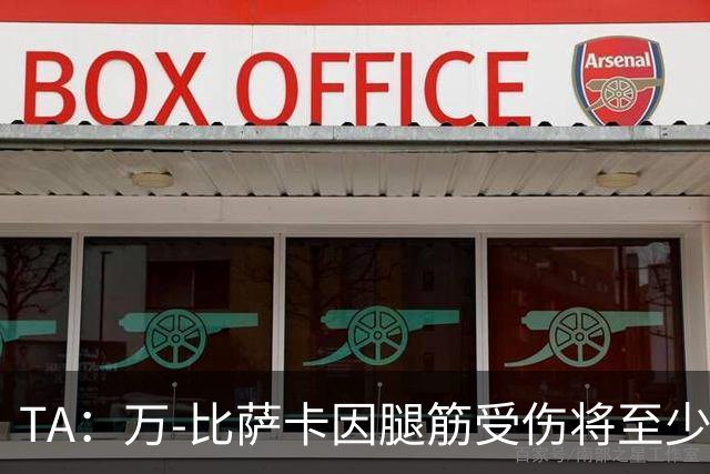 TA：万-比萨卡因腿筋受伤将至少缺阵3周 维拉左后卫已无人可用